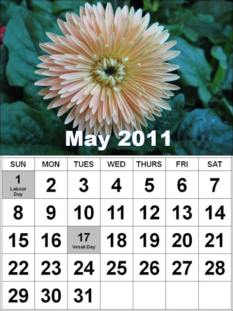 may 2011 calendar australia. may calendar 2011 australia.