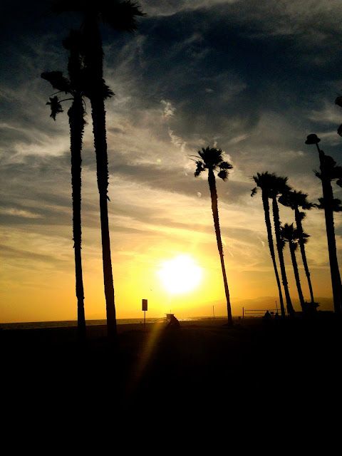 venice beach, venice, california beaches, palm trees, sunset pictures, sunset photo, palm trees and sunset, beaches, los angeles, la