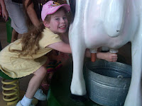 Milking a Cow