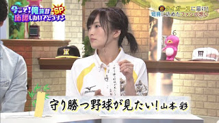 山本彩 さや姉 阪神 甲子園 野球