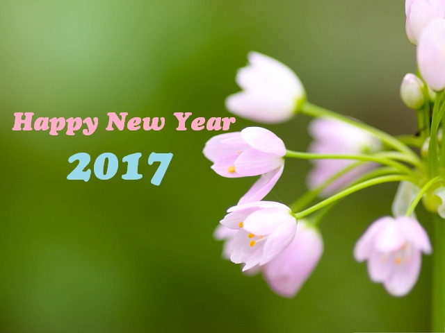 Happy New Year Wishes 