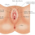 Cáncer de Vulva, síntomas y cuidados