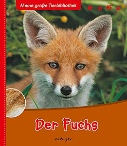 Der Fuchs (Meine große Tierbibliothek)