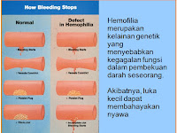 SYSTEM PEMBEKUAN DARAH