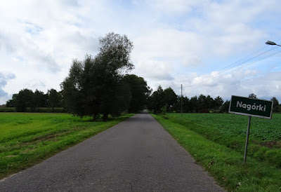 Zdjęcie: