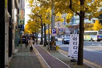 IMG_0577