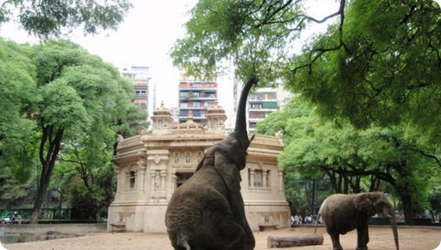 Zoologico-palermo-620x350