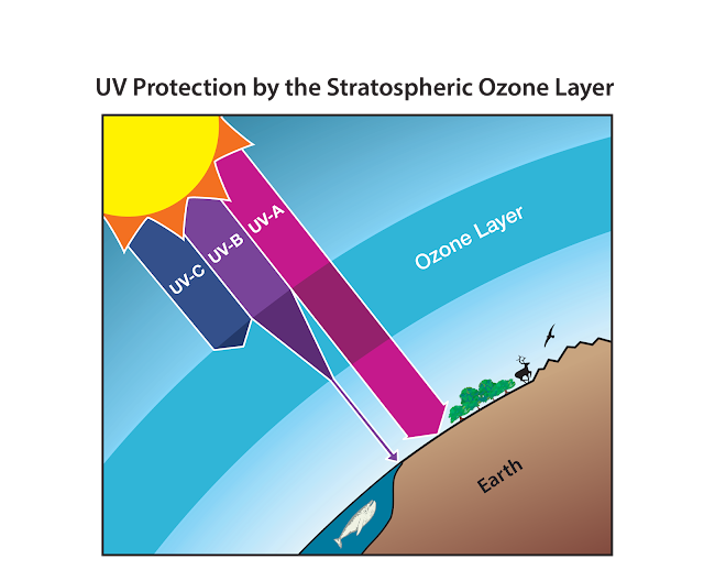 Depletion of Ozone भाग - 2