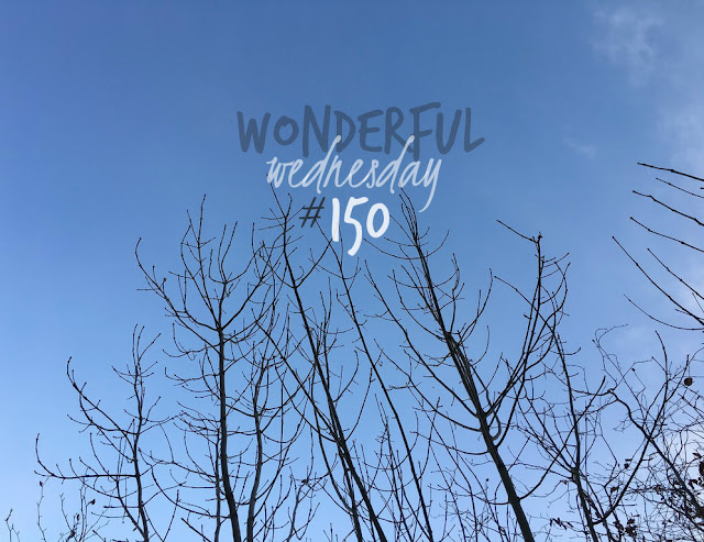 Wonderful Wednesday #150