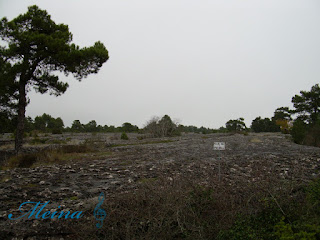 Mar de piedra