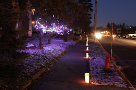 luminaria and lighted trees