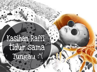 manusia tidur sama tungau