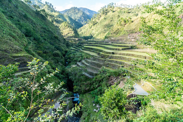 Pula-Région de l'Ifugao-Luçon-Philippines