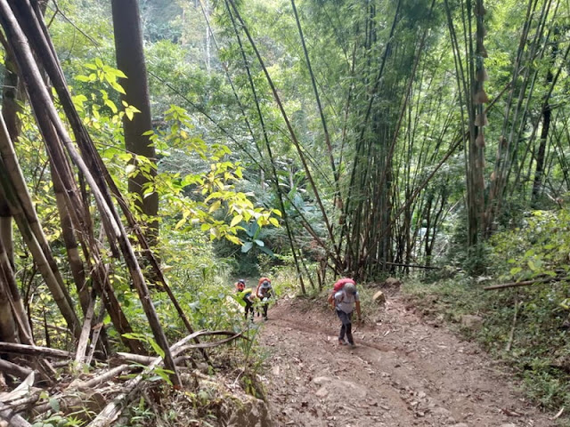 doi wiang pha national park, doi wieang pha national park, doi wiang pha, doi wieang pha,  doi wiangpha national park, doi wiengpha national park