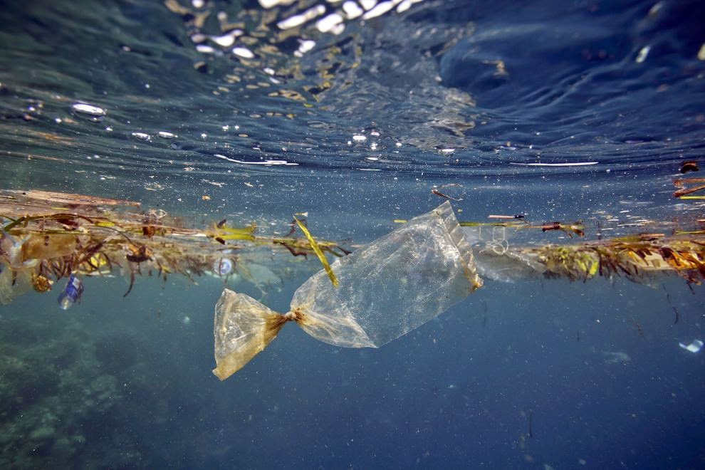 http://news.nationalgeographic.com/news/2014/07/140715-ocean-plastic-debris-trash-pacific-garbage-patch/