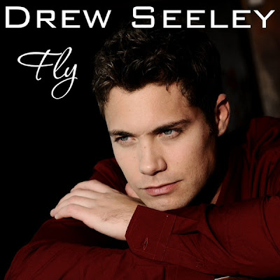 Drew Seeley - Fly Lyrics