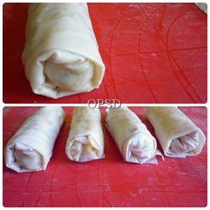 Involtini B