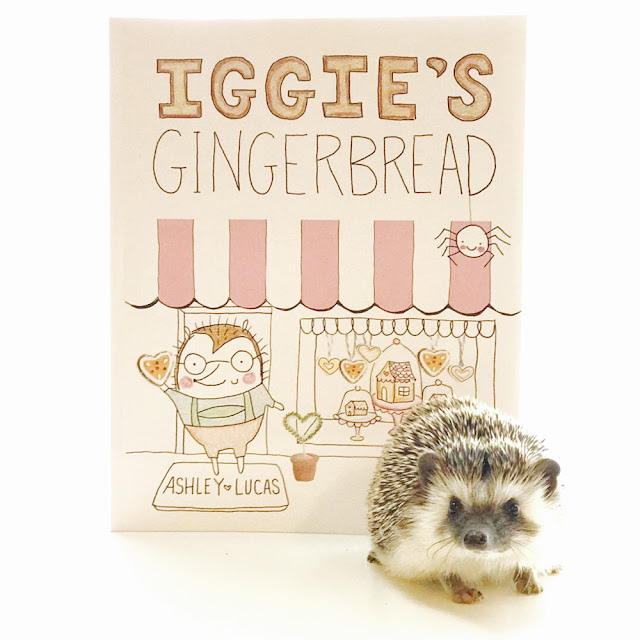 Iggie's Gingerbread is Hedgehog Approved | Mr. Bates the Hedgie enjoys a good read ;) | Photo Credit - @MrBatestheHedgie