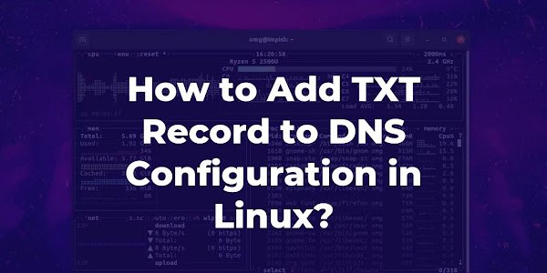 How to Add TXT Record to DNS Configuration in Linux?