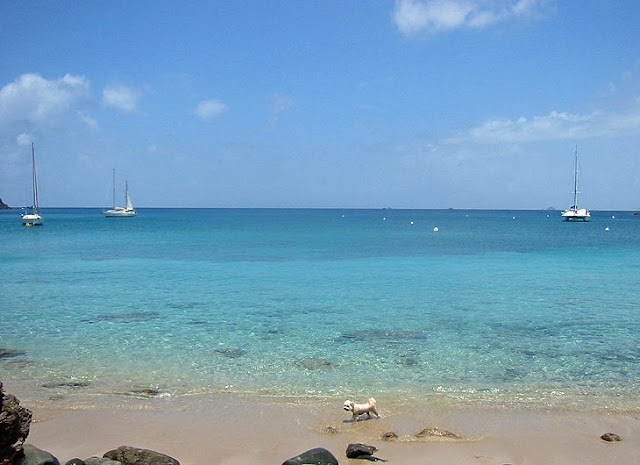 Colombier Beach,St. Barts