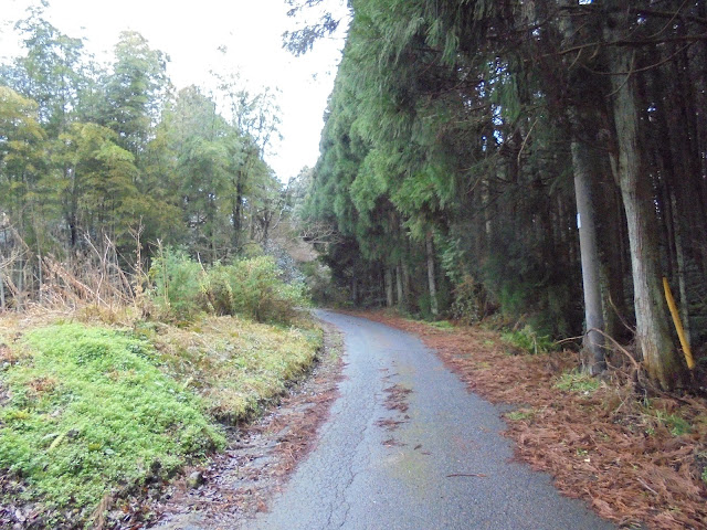 上に登ります