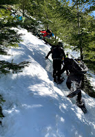 steep slope in the trees