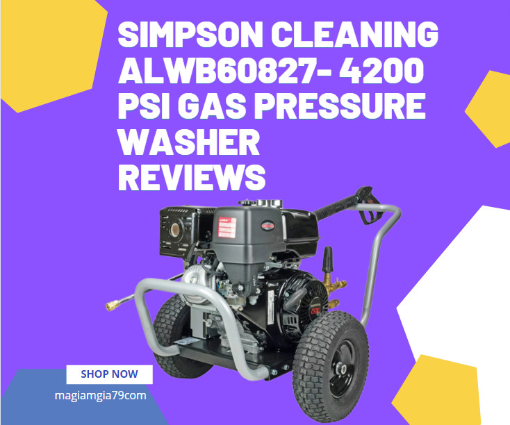 SIMPSON Cleaning ALWB60827