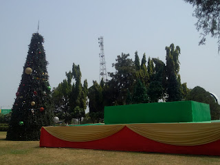 In Pictures: The Christmas Tree and the Beauty of Calabar Festival 2015