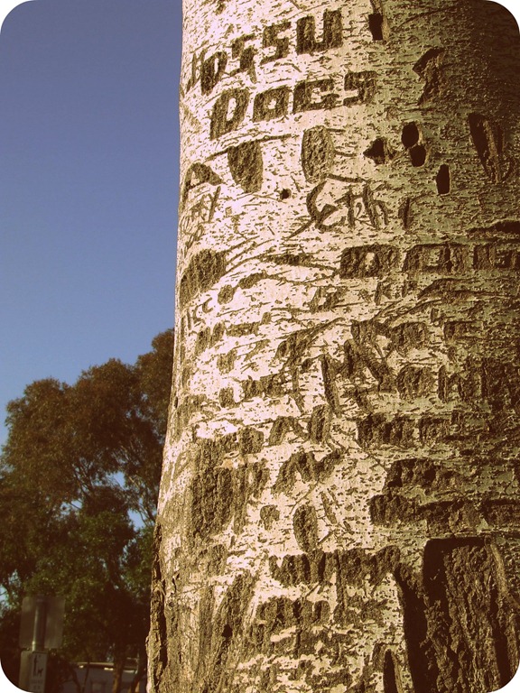 tree2