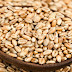 गेहूं के प्रयोग व लाभ : Benefits and Uses of Wheat in Hindi