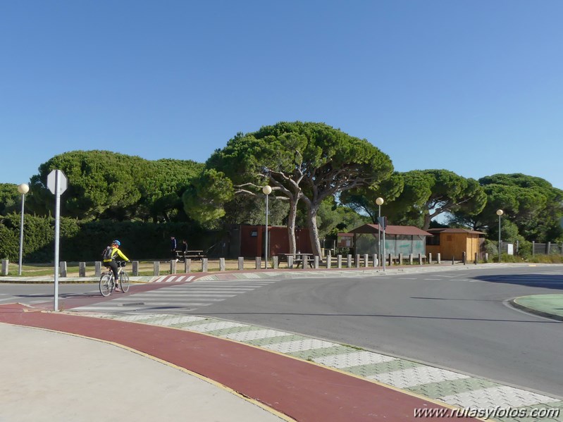 Marisma de los Toruños y Pinar de la Algaida