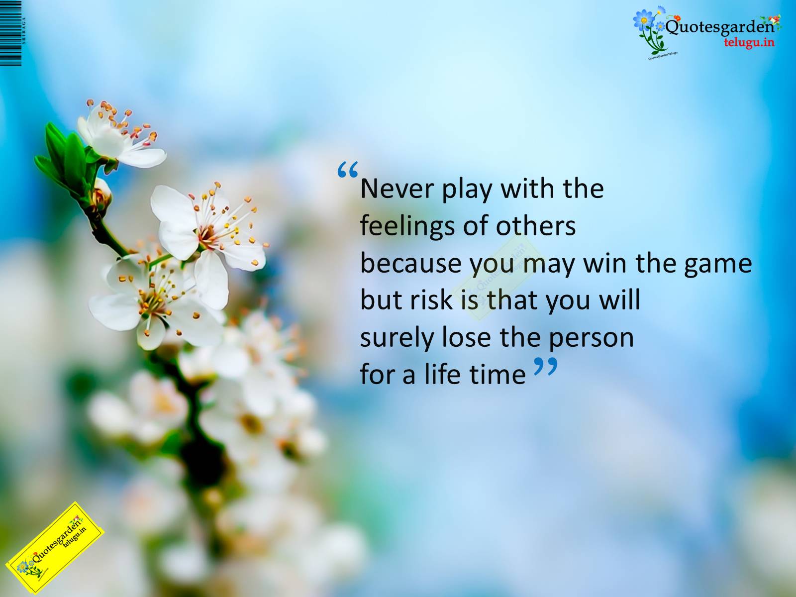 beautiful quotes on life never play with the feeling of other