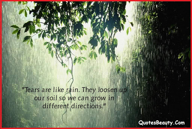 Tears are like rain quotes