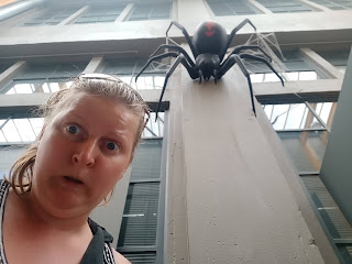 BIG Redback Spider at the Queen Victoria Museum and Planetarium