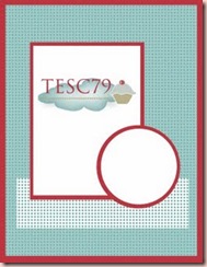 TESC79(sketch)