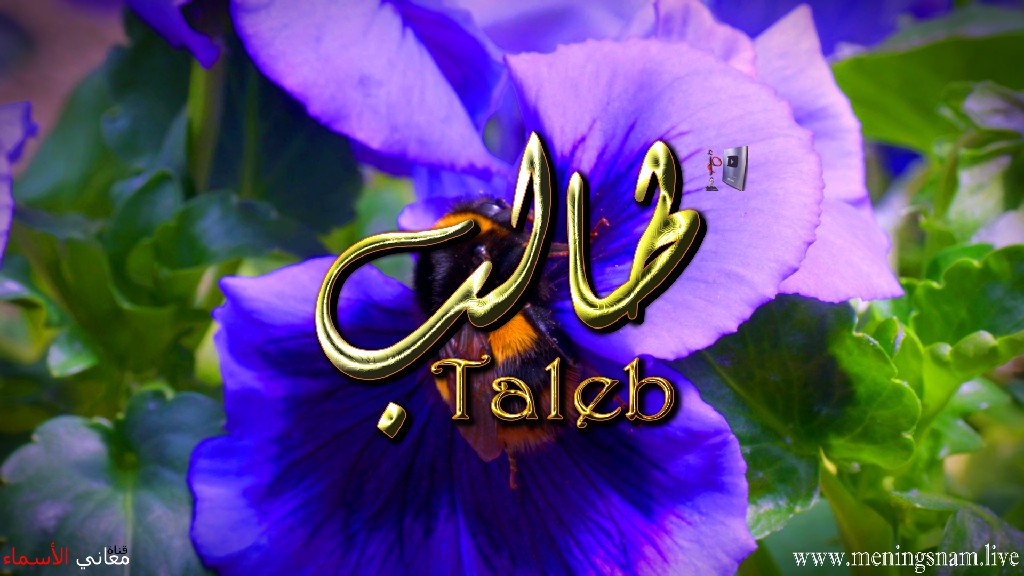 معنى اسم, طالب, وصفات, حامل, هذا الاسم, Taleb,