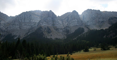 Martinet de Cerdanya