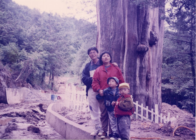 1997年大雪山神木