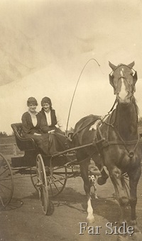 Horse and Wagon Grand Forks