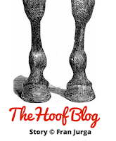 Hoof Blog story by Fran Jurga