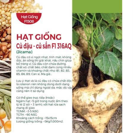 Hạt giống Củ đậu - Củ sắn