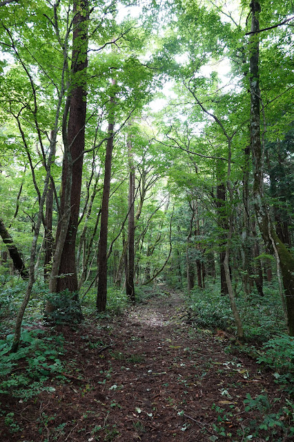 鳥取県西伯郡大山町大山　大山古道