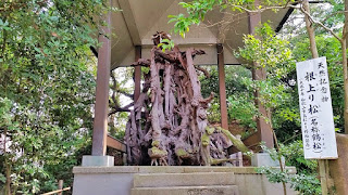 人文研究見聞録：玉津島神社（玉津嶋神社） ［和歌山県］