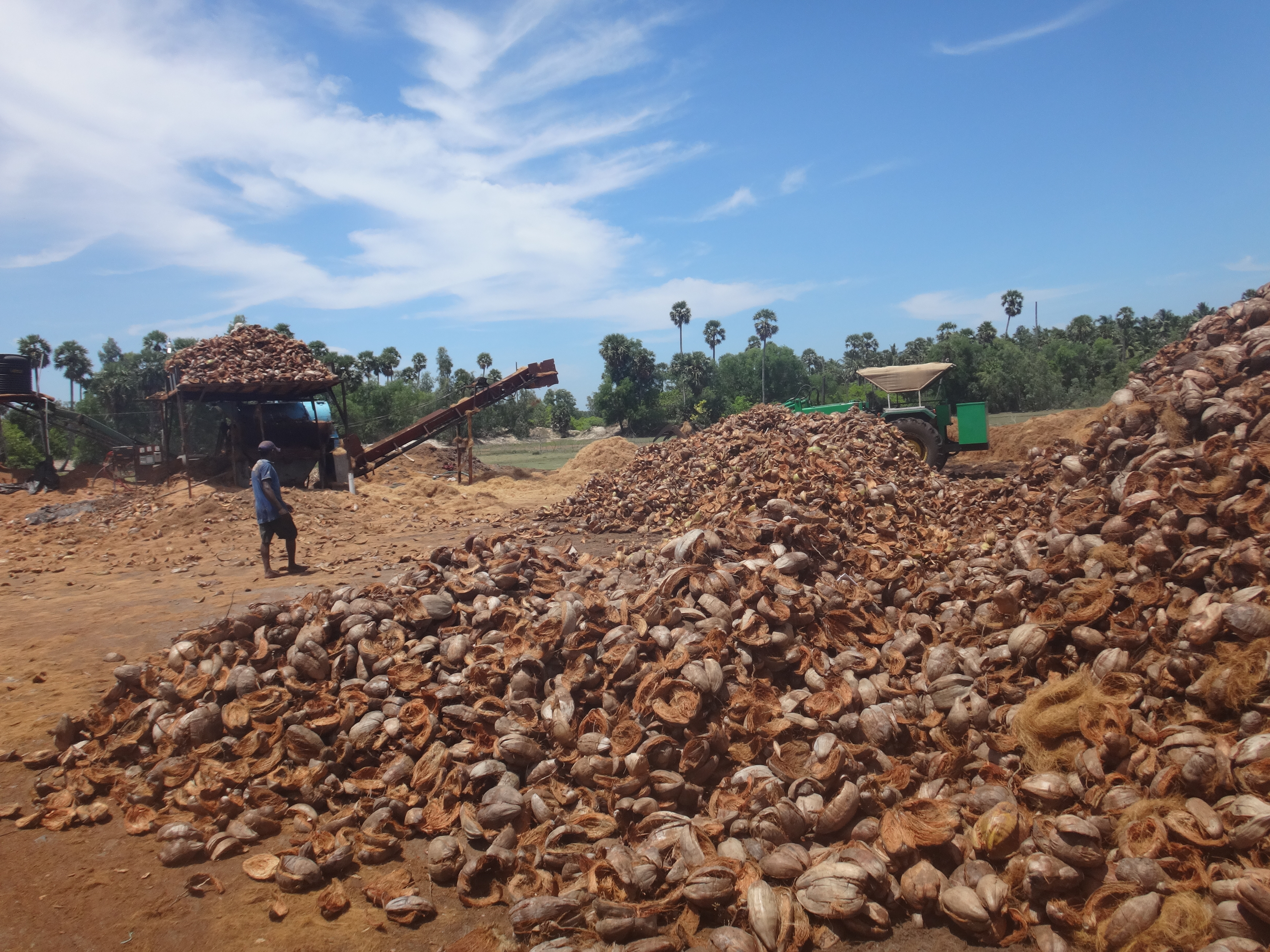 Exploitation de fibres de coco en Inde