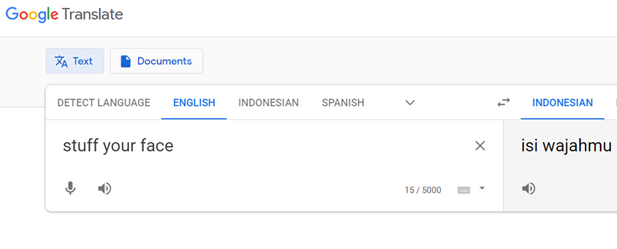 Arti Stuff Your Face Google Translate