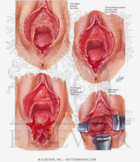 7 Type Vagina Menurut Arabic Kamasutra