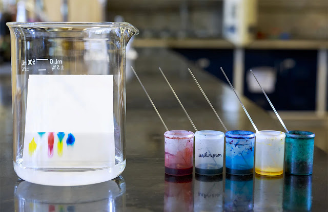 Paper Chromatography | Chromatographic Techniques