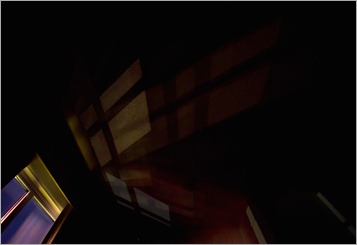 Night DreamsIMG_7611