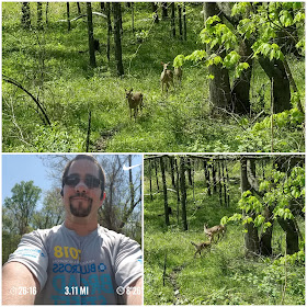 running 05.07.18 trail run pic with deer