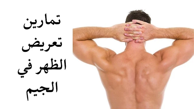 تمارين تعريض الظهر في الجيم ما هي العضلات المناسبة للظهر العريض؟
